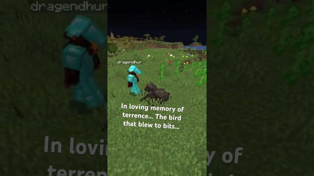 Terrence is gone… #minecraft #gaming #survival #sad #tragic #minecraftmemes