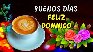 Hola Buenos Dias Feliz Domingo - Abrelo Este Hermoso Mensaje es Para Ti