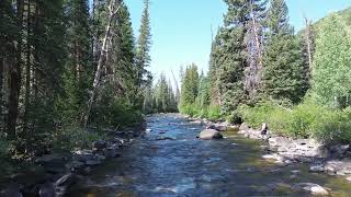 Flyfishing Upper Elk River Steamboat 