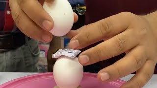 Daily Mind Game 🎯 | Hold Egg on another Egg 🥚 Challenge