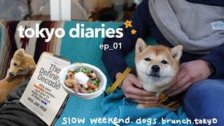 tokyo diaries｜tokyo vlog with slow weekends, dog friendly cafes, brushing a puppy’s teeth 【豆柴のいる暮らし】