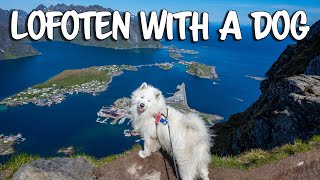 Showing our dog the most beautiful place in Norway