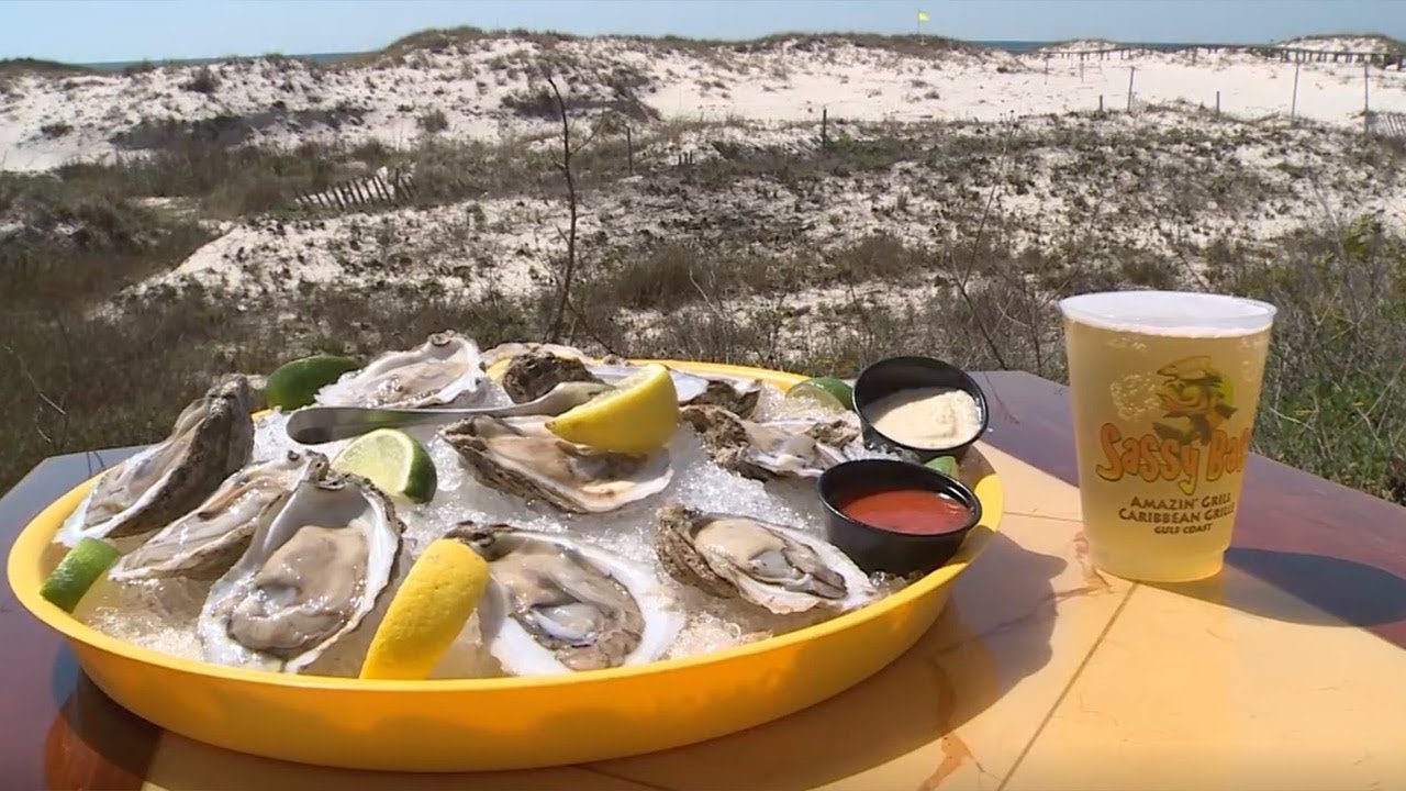 alabama abortion 中文 The Sassy Trail