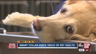 Smart Collar keeps track of pet health screenshot 3