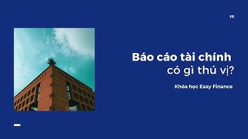 Easy Finance (1) - Báo cáo tài chính có gì thú vị?