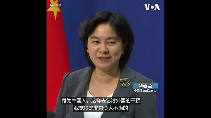华春莹：身为中国人去乞讨外国的干预，非常令人不齿 - 天天要闻