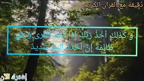 سورة هود، آية 105 يَوْمَ يَأْتِ لا تَكَلَّمُ نَفْسٌ إِلاَّ بِإِذْنِهِ فَمِنْهُمْ شَقِيٌّ وَ سَعِيدٌ