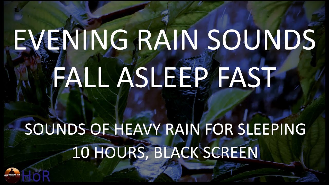 Evening Rain Sounds for Sleeping, Heavy Rain to Sleep Fast, 10 Hours ...