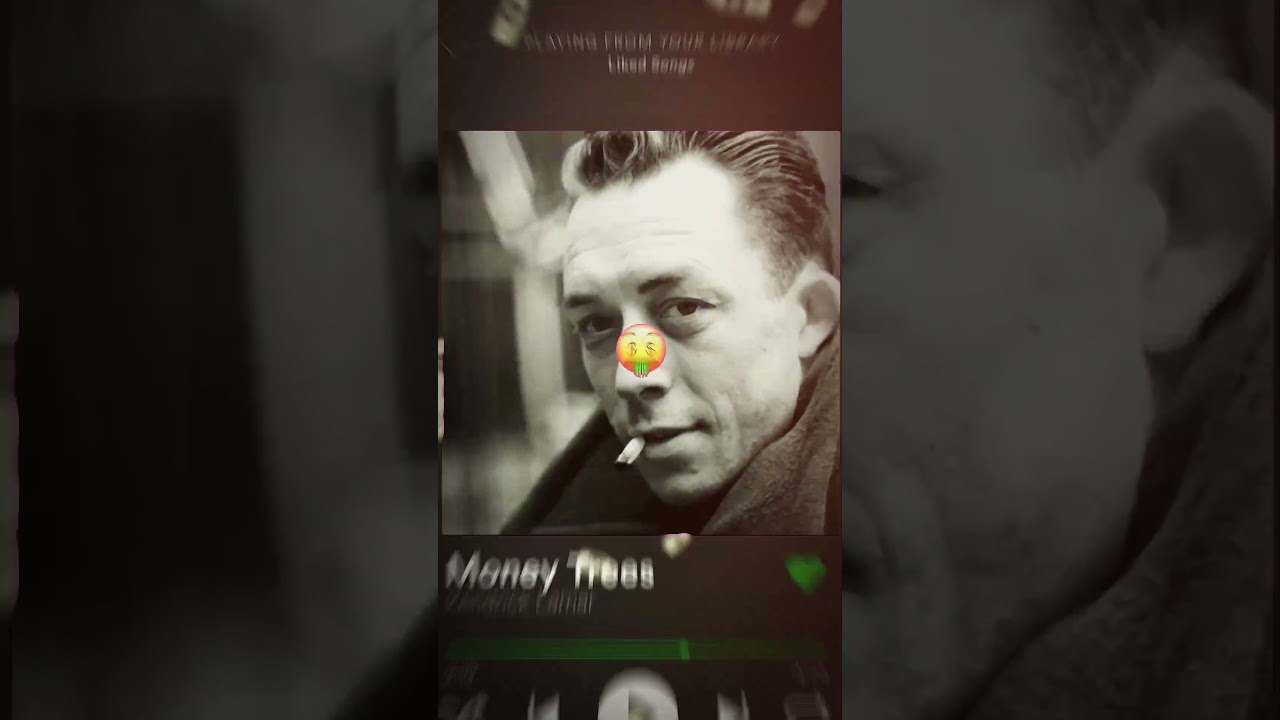 Day one of using TikTok templates for my favourite authors and philosophers- Albert camus