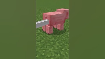 let me do it for you meme dog