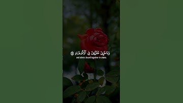 #قران_كريم#تلاوات_خاشعة#اكسبلور #قرآن #راحة_نفسية#لايك #قرآن_الكريم_حالات_واتساب#تلاوات #لايك