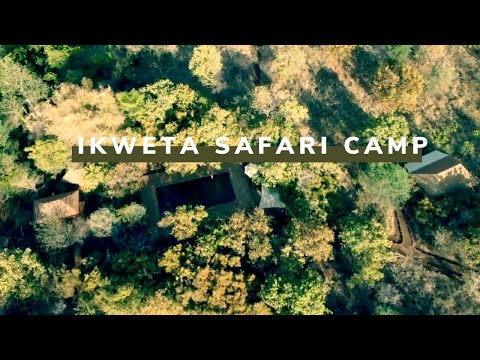 Video: Jinsi Ya Kusherehekea Ikweta