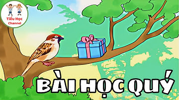 Kể chuyện: BÀI HỌC QUÝ | Tiếng Việt 4 | Kết nối tri thức với cuộc sống