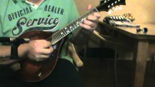 Video thumbnail of "Itzbin Reel on Clark A5 mandolin"