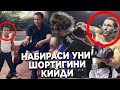 ЖАНГ! Нико АЛИ Мухммад Али НАБИРАСИ СОНИЯДА НОКАУТ