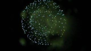 20090726豊田014芸術協会8号5発(紅屋青木煙火店)