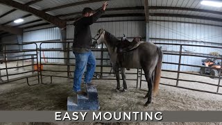 Teaching A Horse To Come To You At Your Mounting Block.