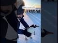 نهاية قصة البطريق بطريق احمد الاوسي