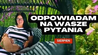 Download Lagu ODPOWIADAM NA WASZE PYTANIA | SIERPIEŃ | Kasia in MP3 Download Lagu ODPOWIADAM NA WASZE PYTANIA | SIERPIEŃ | Kasia in MP3