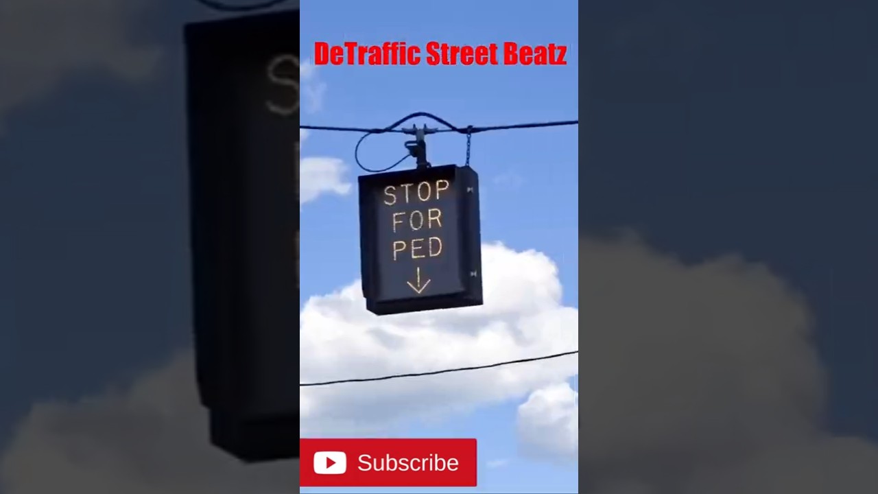 Dog House McCain PV Traffic Lights 