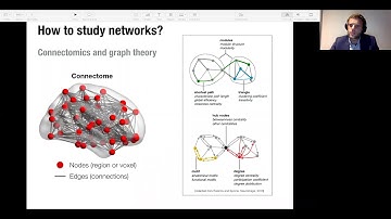 Functional Brain Networks in Health and Disease 03 May 2020 Mangor Pedersen