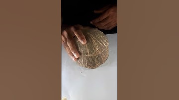 COCONUT SHELL CURRY POT SET MAKING | ASMR | 😲😲 #shorts #asmr  #coconut #diy #craftingtutorial #craft