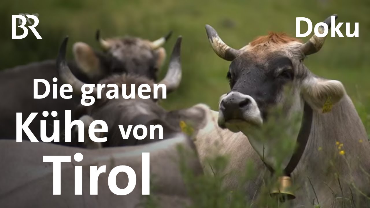 Doku Reihe Die Alpen von oben: Vom Allgäu ins Montafon