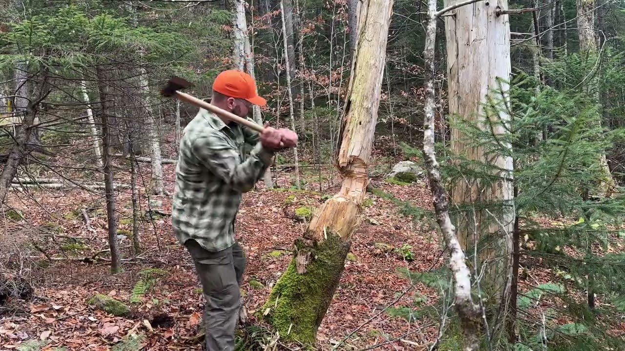 TRAIL BOSS | Cold Steel Knives