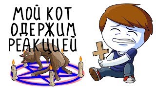 Мой кот одержим (Анимация) ► Реакция на Найс Мой кот одержим (Анимация) ► Реакция на Найс