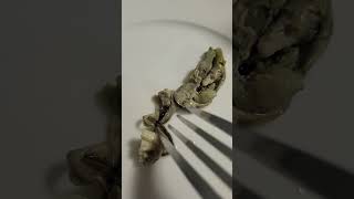 Delicious #oysters #cannedfish #foodreview #seafood