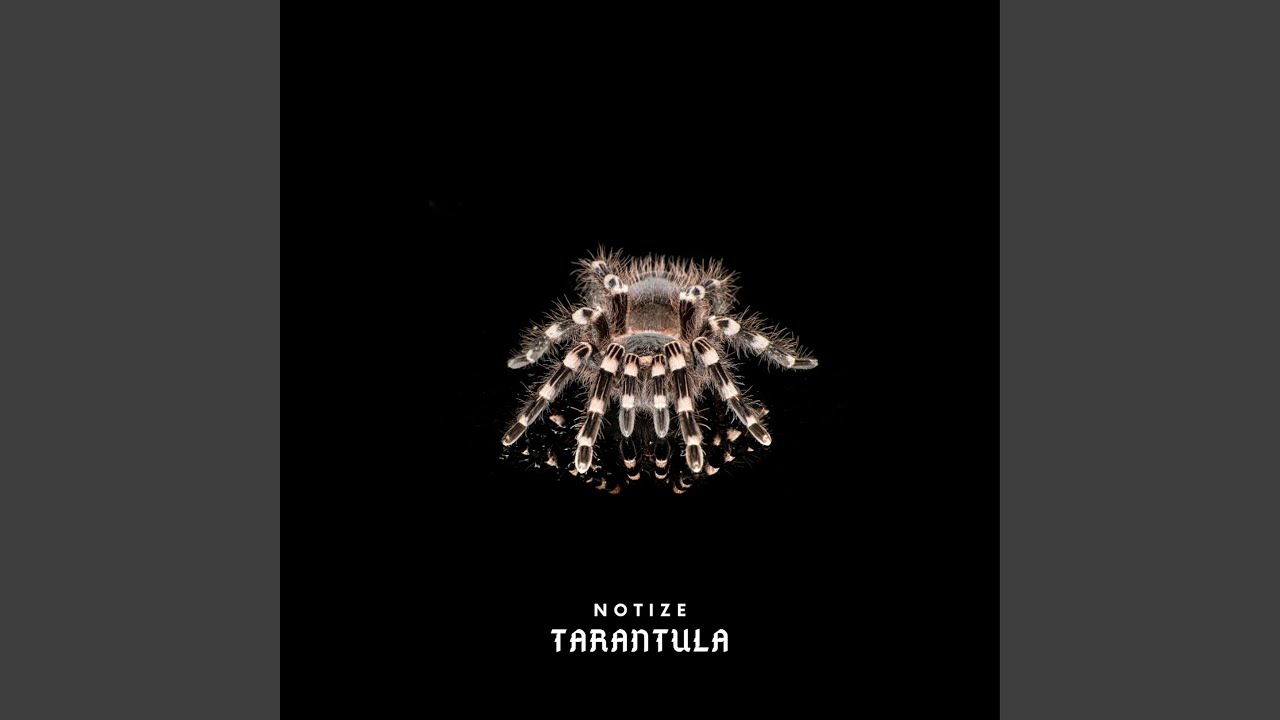 Watch Tarantula on YouTube Watch Tarantula on YouTube