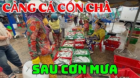 Phan Thiết Hôm Nay cảng cá cồn chà 30/9/2025