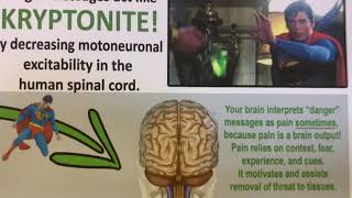 What is Muscle Inhibition?