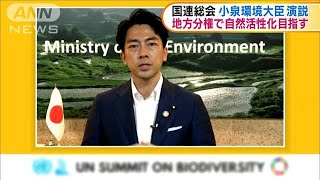 国連総会「生物多様性サミット」小泉環境大臣が演説(2020年10月1日)