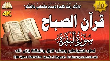 سورة البقرة كاملة مكتوبة لطرد الشياطين وحفظ وتحصين المنزل| تلاوة هادئة راحة نفسية | القارئ محمد هشام
