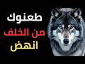 خيانتهم لم تدم رك بل صنعت منك شخص ا لا ي كسر عقلية الذئب