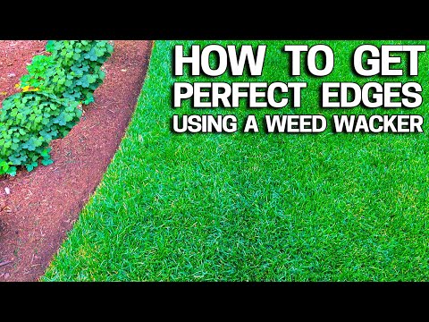 How To Use A Weed Eater For Edging