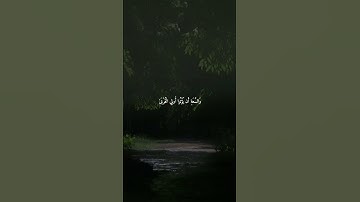 ولا يأتل أولو الفضل منكم | سورة النور | محمد صديق المنساوي