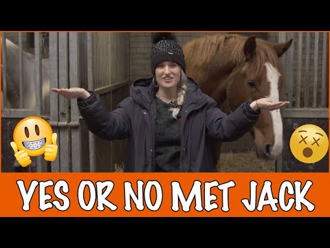 Jack en Britt spelen een spel! | PaardenpraatTV