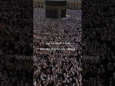 يوم عرفة الحج عرفات    تكبيرات العشر من ذي الحجة