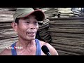 Nghề phơi cá làm khô ở Cà Mau | VOA Tiếng Việt