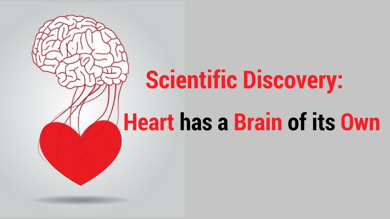 Darse Quran | Surah Al Baqarah 08-10 | Scientific Discovery : Heart has a Brain of its own