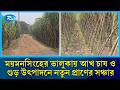 স্থানীয় চাহিদা মিটিয়ে দেশের বিভিন্ন জেলায় যাচ্ছে ভালুকার উন্নতমানের গুড় | Rtv News