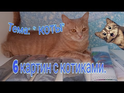 Котята алмазная вышивка