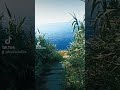 #tiktok #nature #adventure #natural #travel #اكسبلور #beach #beautiful #best #relaxing