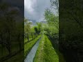 Relaxing morning #relaxing #nature #relaxingmusic #trending #viral #foryou #shorts #ytshorts #relax