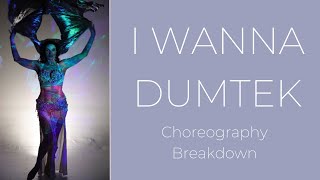 I Wanna DumTek Choreography