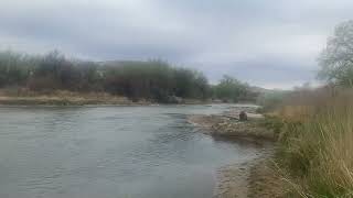 Why is the N. Platte of Nebraska so Wet?