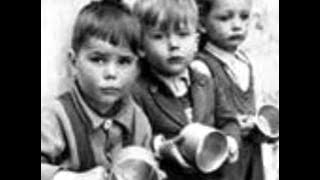 wibs book trialer ary