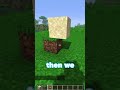 Vertical Slabs in Minecraft Vanilla